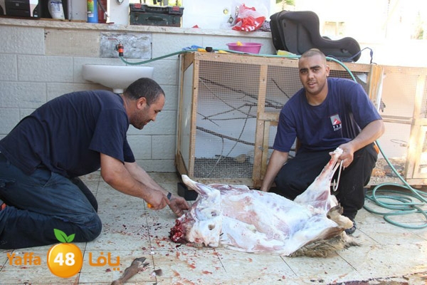 dabe7 ludj31 (30).JPG